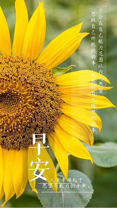 原创早安手机壁纸心语配图