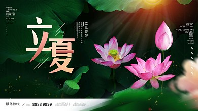 简约二十四节气立夏摄影图展板