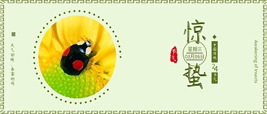 原创小清新惊蛰昆虫背景二十四节气配图