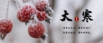 大寒公众号封面二十四节气24