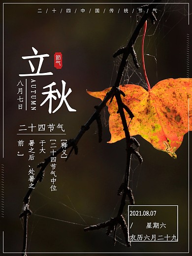 中国传统二十四节气简约立秋宣传海报