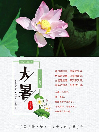 大暑清新节日海报展板