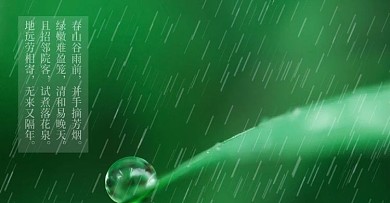 自然春天绿色下雨节气谷雨banner