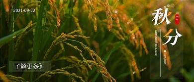 简约秋分节气公众号封面