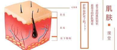 简约清新肌肤知识课堂