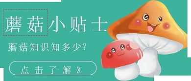 简约清新蘑菇知识健康宣传