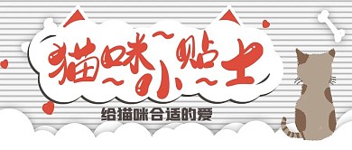 可爱猫咪小贴士宣传
