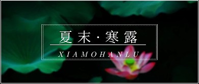 简约夏末寒露节气公众号封面