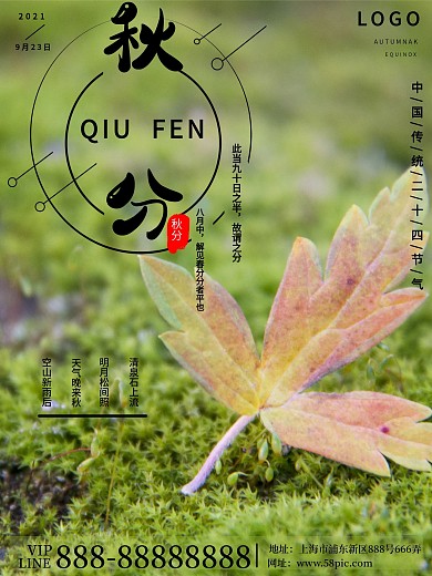 二十四节气之秋分落叶海报