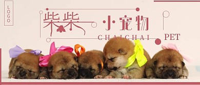 简约清新宠物店宣传
