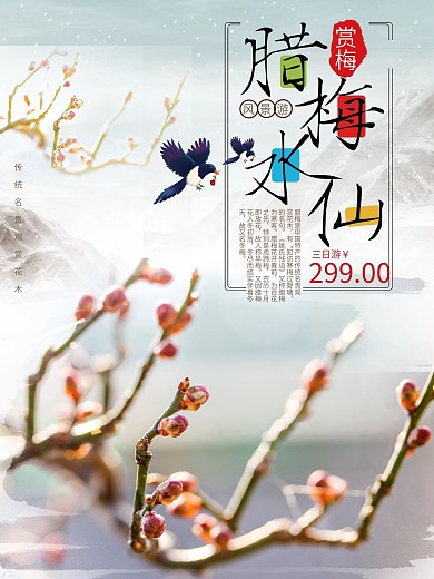 腊梅水仙白色简约旅游海报
