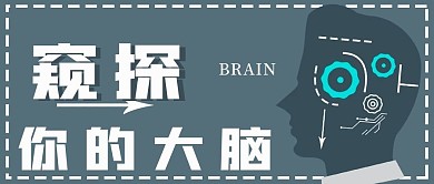 简约窥探大脑科技宣传