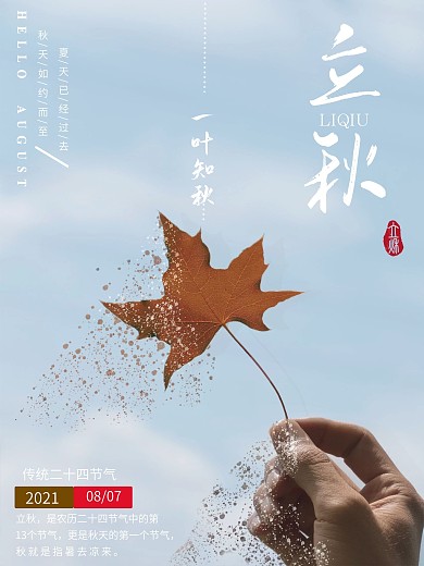 二十四节气之一叶知秋海报
