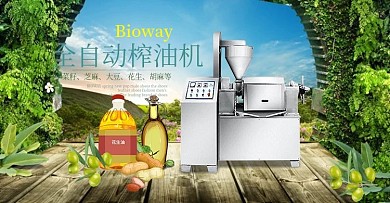 家用中大型榨油机