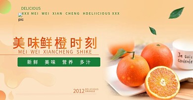 橙子海报 美食 轮播 水果 食品茶饮