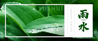 雨水 公众号用图