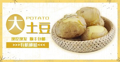 新鲜蔬菜土豆马铃薯电商海报