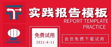 简约实践报告模板