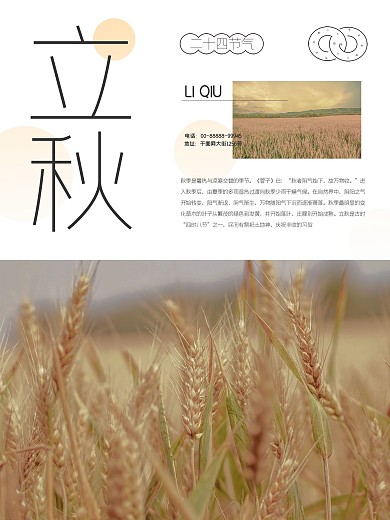 立秋日系清新简约宣传海报