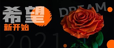 简约新年希望宣传