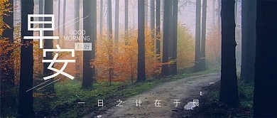 早安简约文艺小清新森林小路图公众号首图