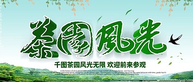 公众号封面绿色清新茶园风光宣传海报
