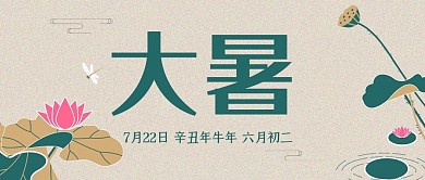 二十四节气大暑小暑夏天荷花复古背景