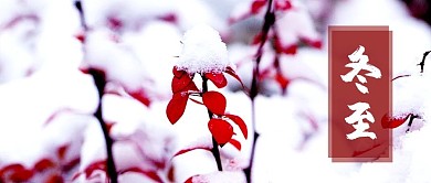 冬至下雪公众号封面