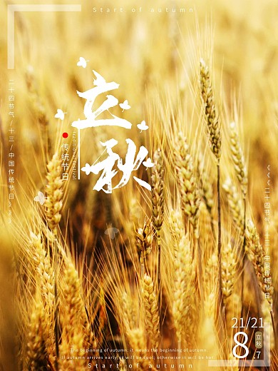 二十四节气立秋海报