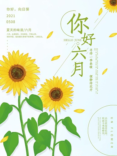 6月你好小清新向日葵简约海报
