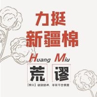 支持中国造力挺新疆棉公众号次图