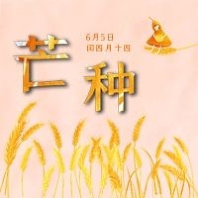 芒种节气二十四节气之一