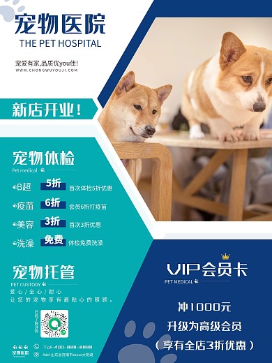 医疗宠物医院 形象海报