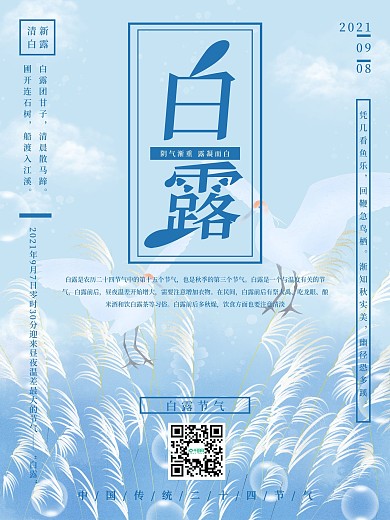 原创手绘小清新白露海报