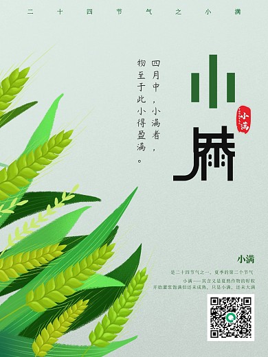 小满海报小麦背景素材图片二十四节气广告