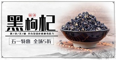 黑枸杞促销电商海报