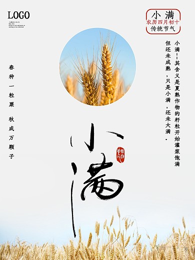 小满节气海报 小满 二十四节气 清新风格