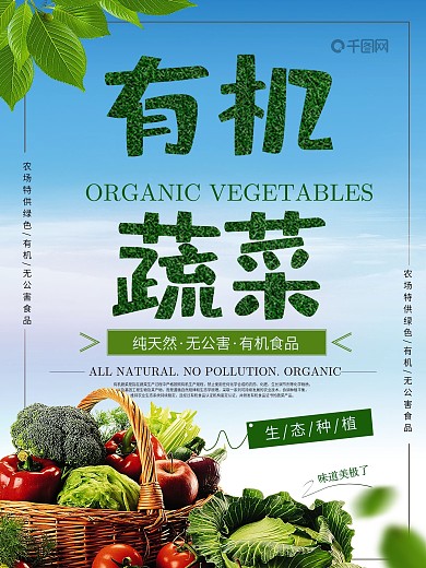 有机蔬菜海报设计图