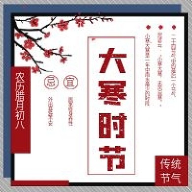 简约大寒时节宣传