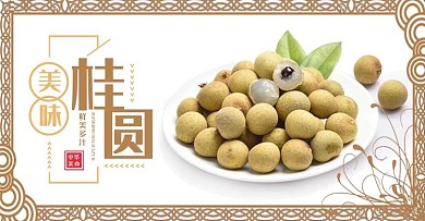 桂圆促销电商海报