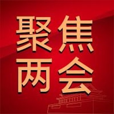 聚焦两会两会精神公众号次图封面预览图