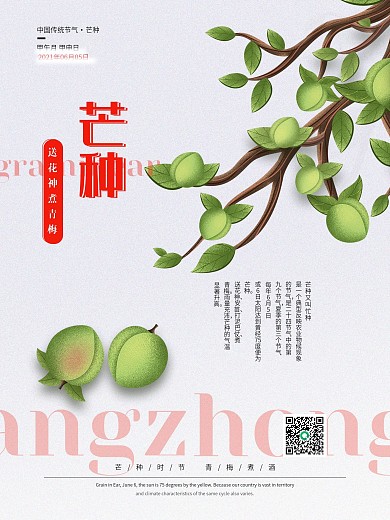 简约二十四节气芒种青梅海报