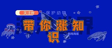 关注我带你了解海洋世界公众号封面源文件