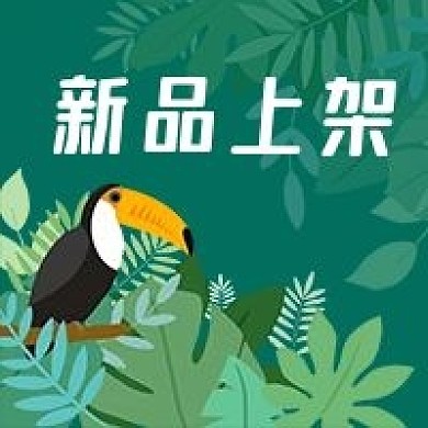 公众号次图手绘植物鸟新品上架服装鞋帽推广