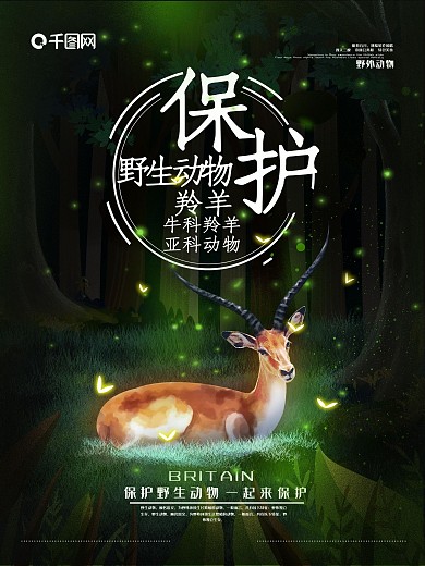 原创手绘萤灵之光保护动物公益海报