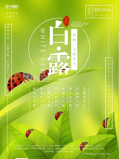 原创手绘小清新白露海报