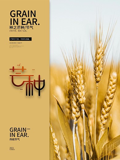传统二十四节气24芒种节气宣传海报