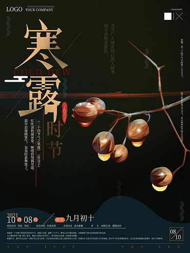 原创手绘文艺寒露节气海报