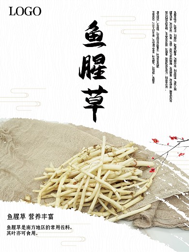 简约大气鱼腥草中药海报