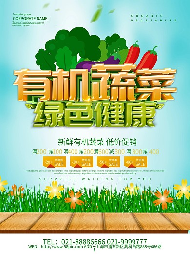 蓝色小清新有机蔬菜海报设计